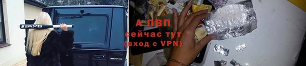 крисы Волоколамск