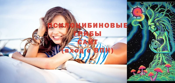 мдпв Верхний Тагил