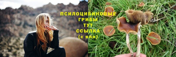 2c-b Волосово