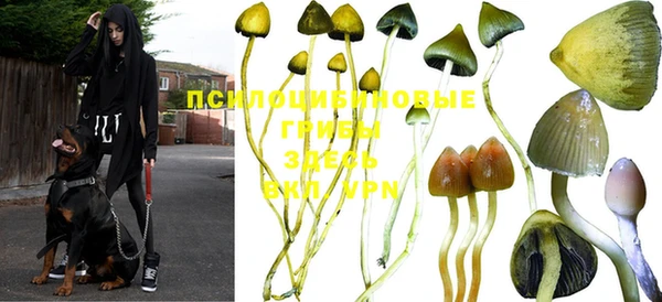 крисы Волоколамск