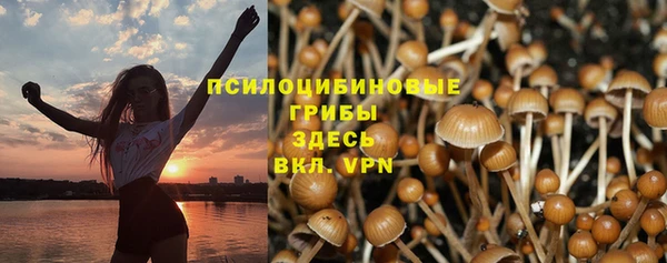 крисы Волоколамск